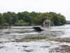 Airboat Expeditions 03