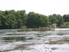 Airboat Expeditions 06