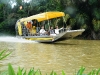Airboat Expeditions 23