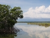 The Hawksbill Creek Scenery