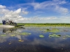 Airboat skimming over the flood plains of the Mary River