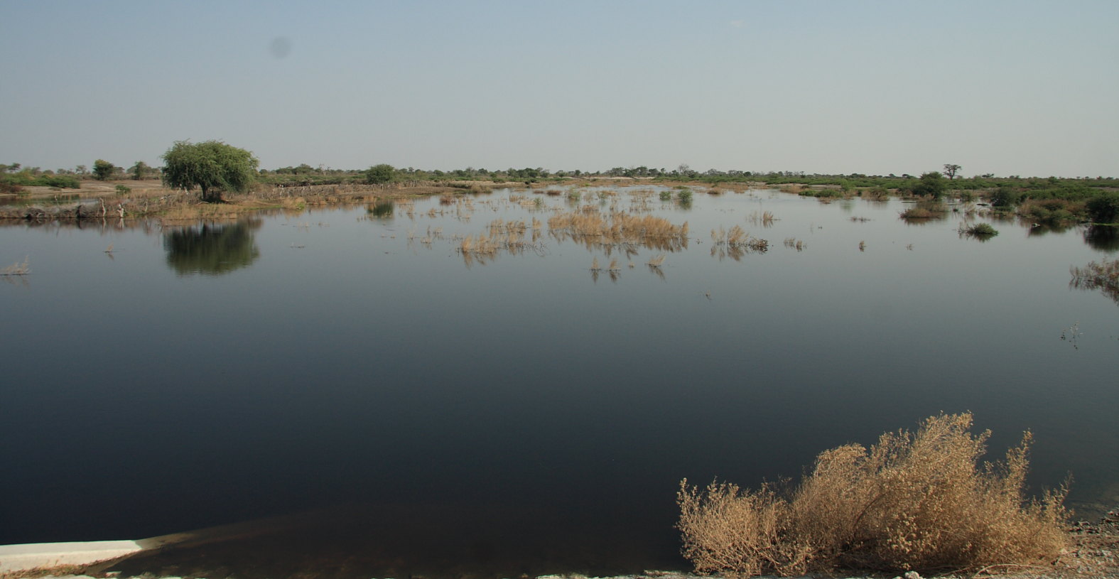 Boteti bed now near Rakops