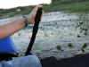bowfishing on the Grand River (1)