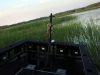 bowfishing on the Grand River (12)