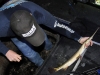 bowfishing on the Grand River (2)