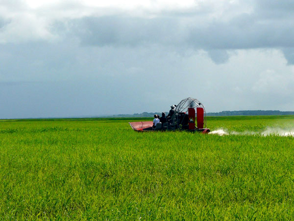 Carmor Plains Air Boat Tours