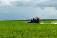 Carmor Plains | Australia