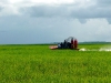 Air Boat Tours