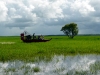 Air Boat Tours 02