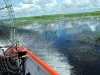 Air Boat Tours 07