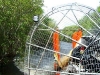 Air Boat Tours 08