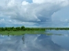 Air Boat Tours 09