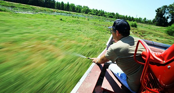 Pearl River Airboat Adventures 05