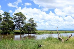 Gorongosa National Park | Mozambique