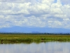 Gorongosa NP - Mount Gorongosa view