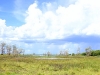 Gorongosa NP - Storm clouds over Lake Urema