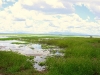 Gorongosa NP - Urema River floodplains