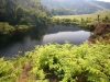 Vunduzi River Pools on Mount Gorongosa