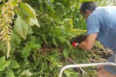 Hennops River clean-up