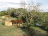 Mayukuyuku Camp     