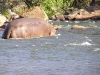 Mayukuyuku Camp    