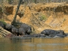 Lunga River Lodge