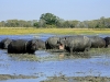 Lunga River Lodge