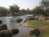 Mayukuyuku Camp