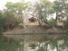 Mayukuyuku Camp