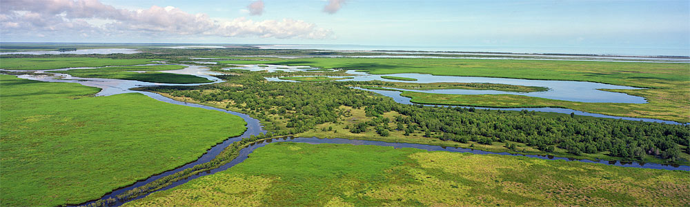 South Alligator River