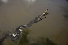 Conservation - Kalamazoo River Oil Spill | Michigan | USA