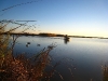 airboat in the marsh