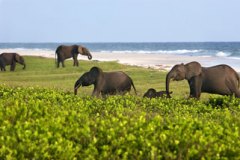 Loango National Park | Gabon