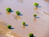 Malawi Flood 06.jpeg