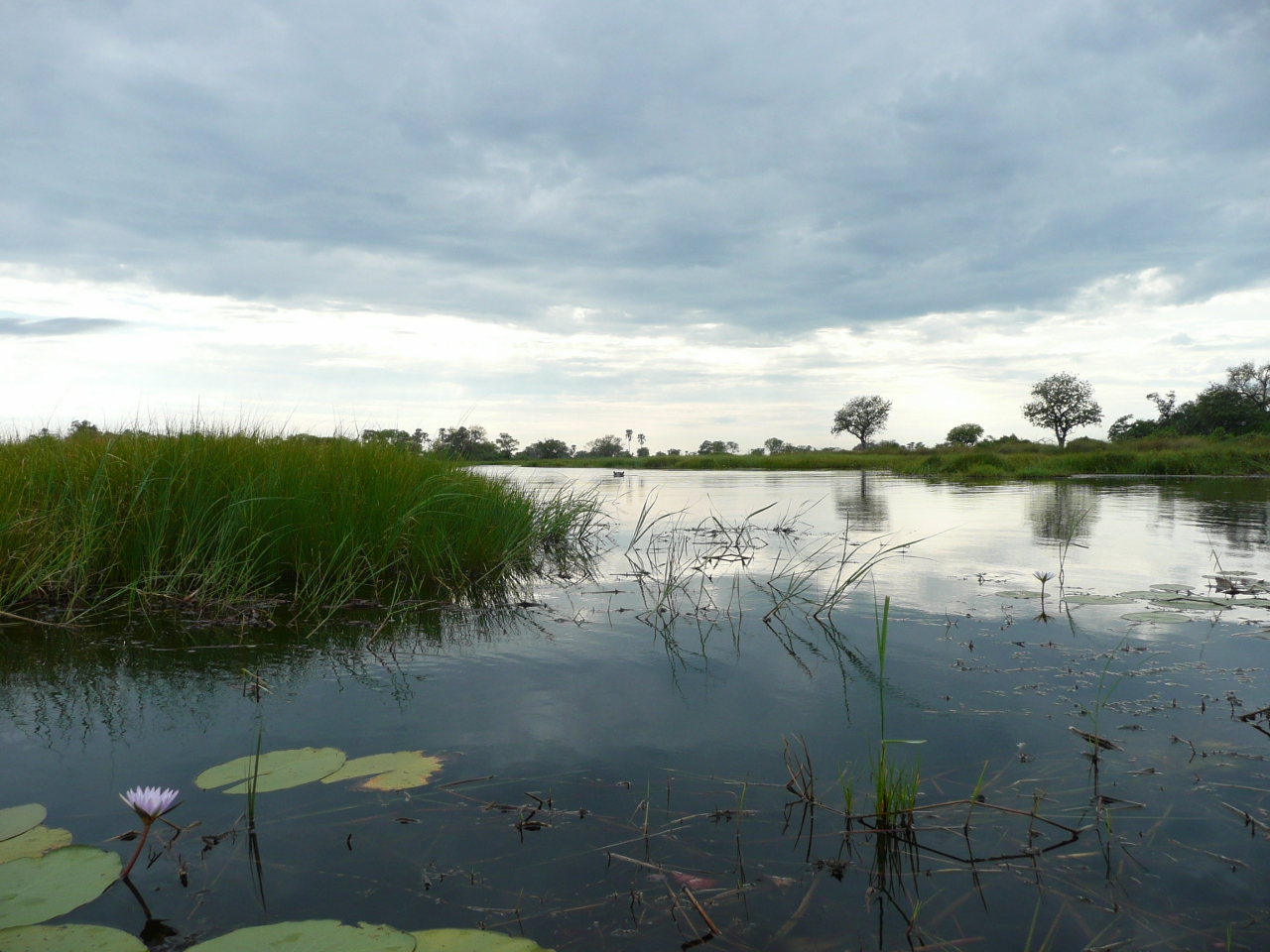 Okavango Delta