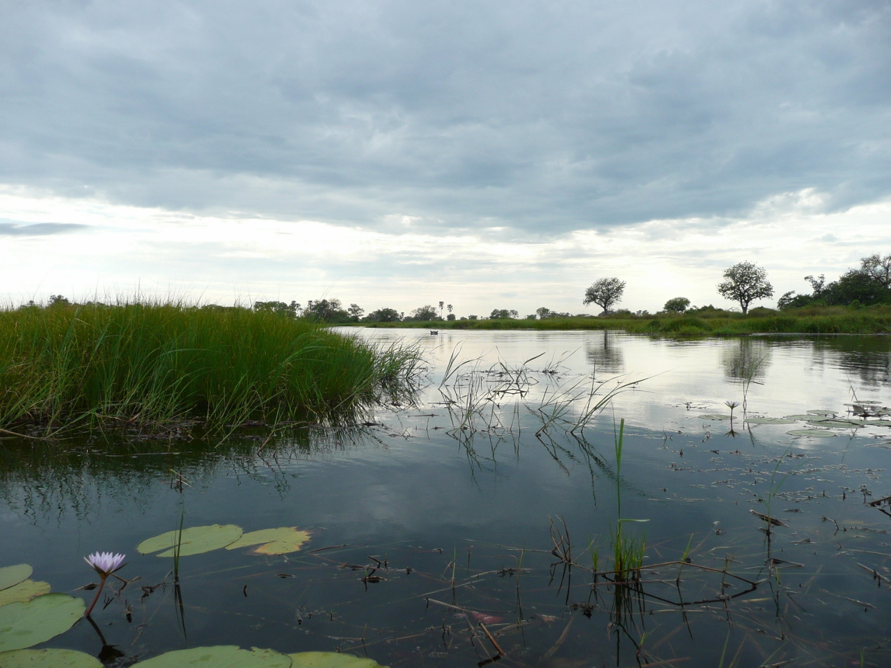 Okavango Delta