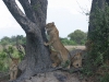 img_3385-1280x853