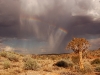 Orange River - Augrabies