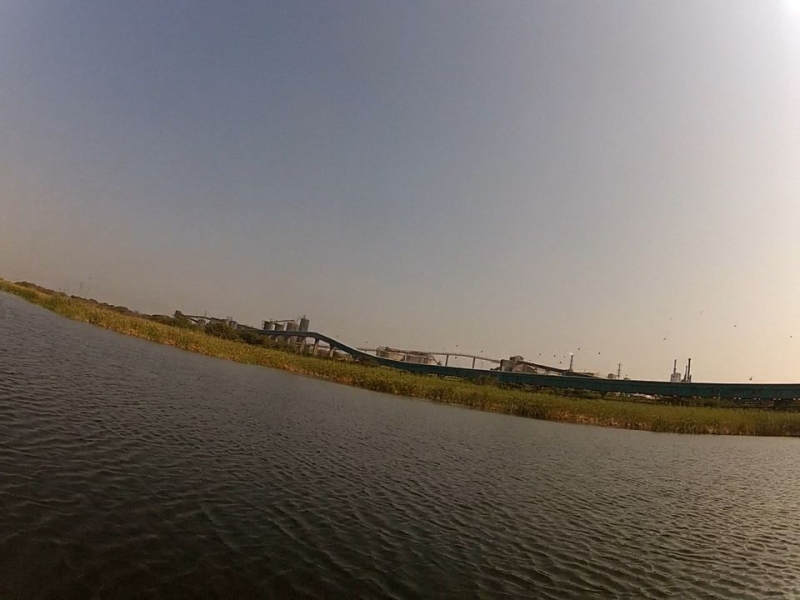 Wetlands near Industry