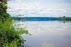 Sangha River | Central Africa