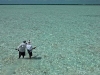 Wading at South Caicos
