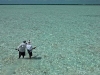 Wading at South Caicos