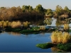 Vaal River, Barrage