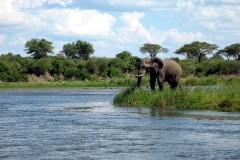 Zambezi River