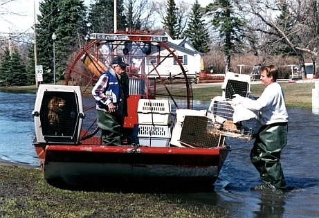 East Grand Forks MN, April, 1997 -- Humane Society of the United States volunteers wade through flood waters to rescue stranded pets. photo: David Saville/FEMA