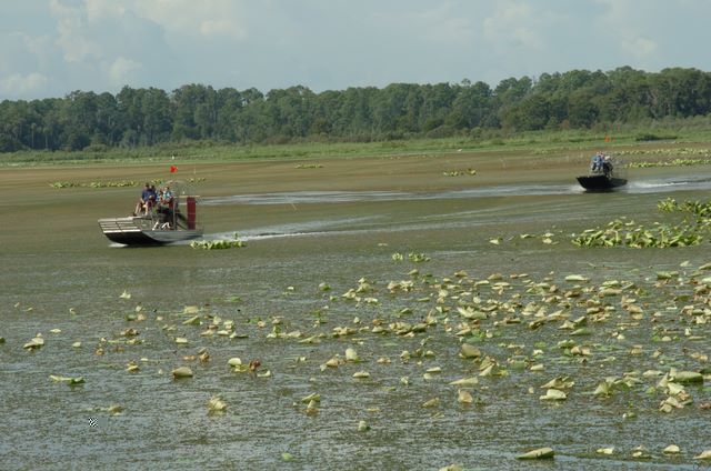 airboaters chasing each other to the picnic spot