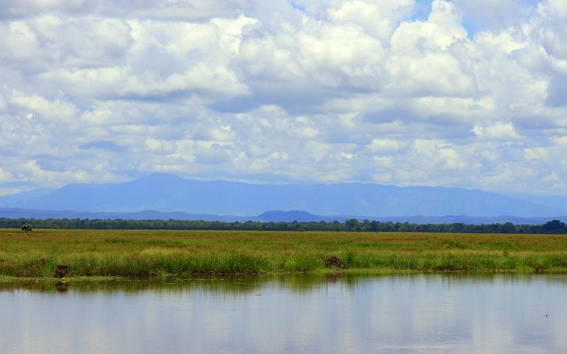 Gorongosa National Park – Airboat Afrika