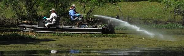 Brian Petree and Phillip Pritchett, spray technicians with the Department of Wildlife and Fisheries, spray over salvinia Thursday on Lake Bistineau near the boat launch