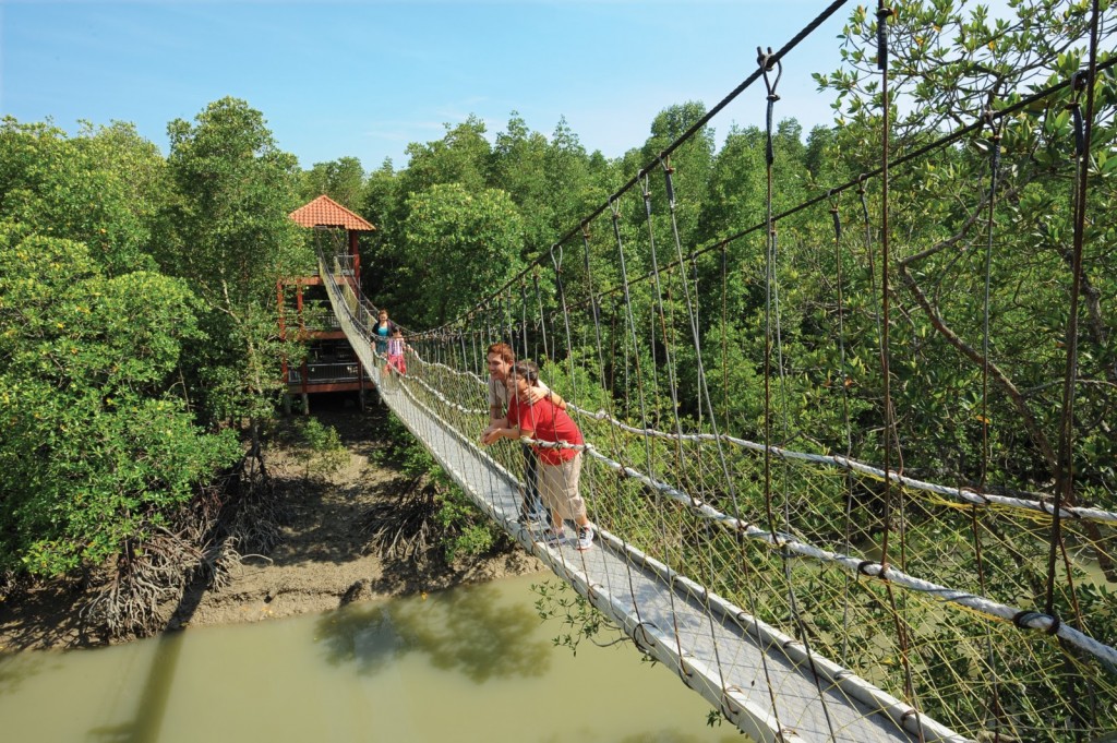 Kukup Island Bridge