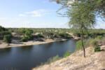 Boteti River